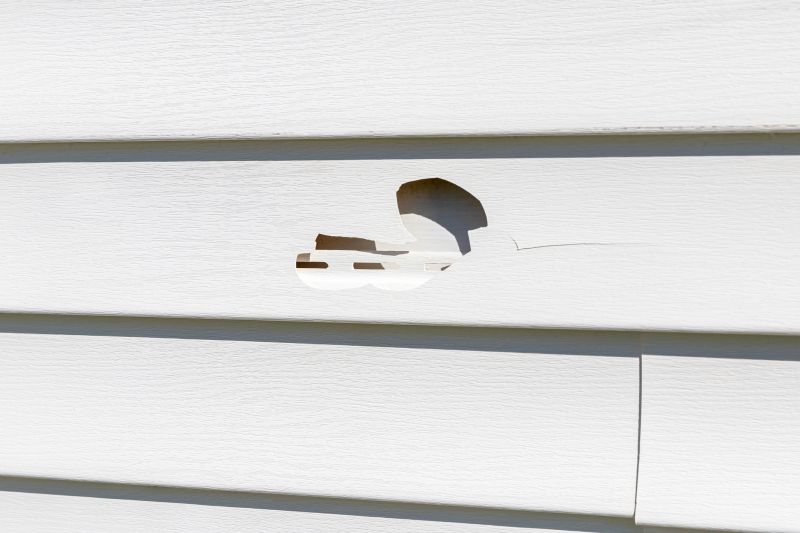 Vinyl Siding Repair Image 6